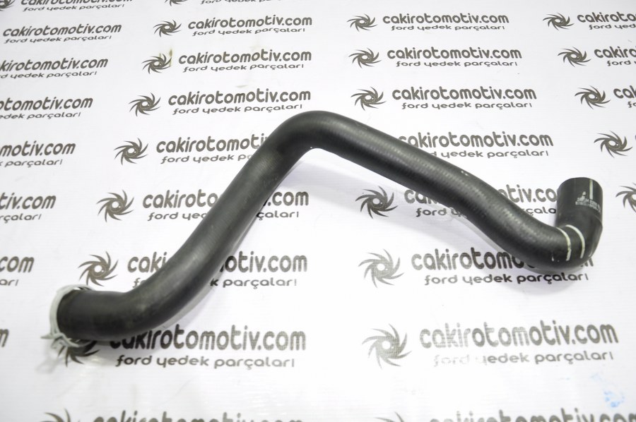 FORD FOCUS RADYATÖR HORTUMU : ALT 3M5H-8286-BJ